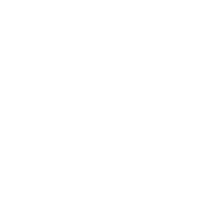 BSCAI Logo